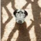 pure silver diya 30.8g traditional handcrafted design